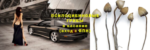 не бодяженный Каменка