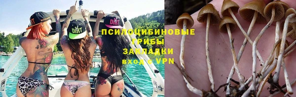 не бодяженный Каменка