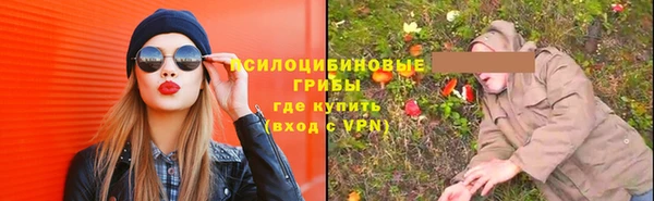 не бодяженный Каменка